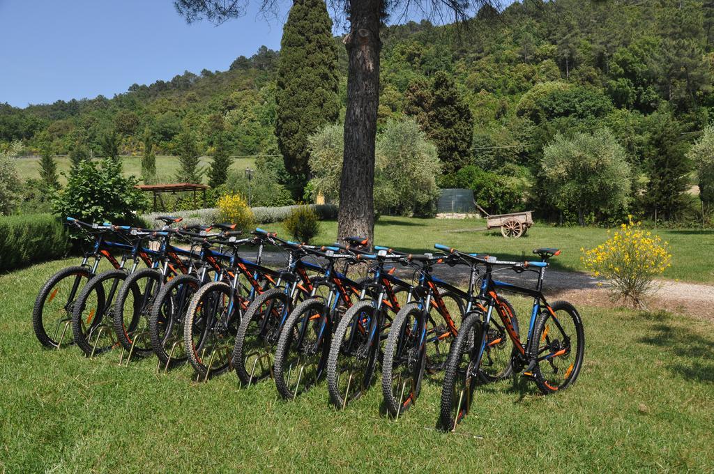 Agriturismo Eco-Bio Belmonte Vacanze Монтайоне Екстериор снимка