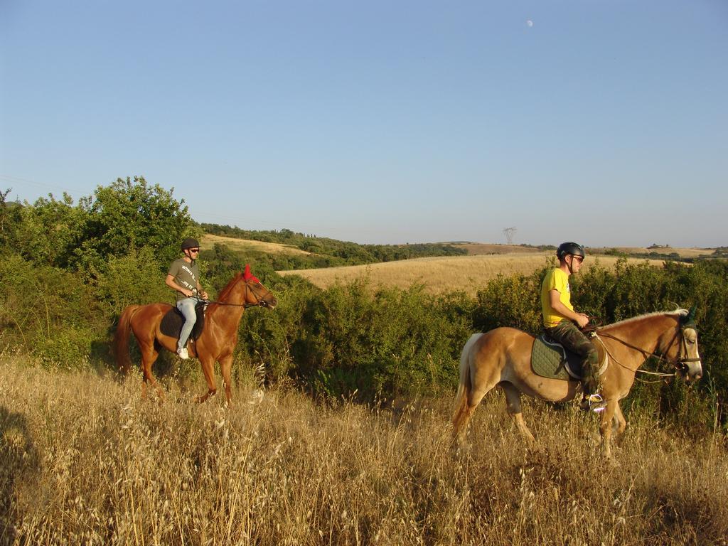 Agriturismo Eco-Bio Belmonte Vacanze Монтайоне Екстериор снимка