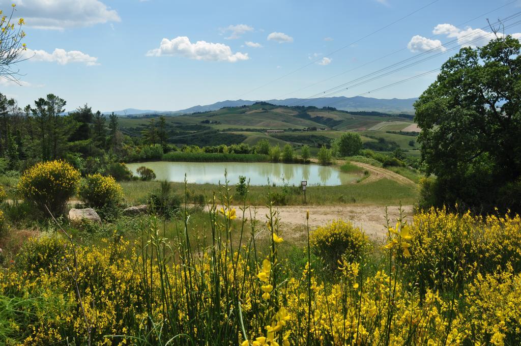 Agriturismo Eco-Bio Belmonte Vacanze Монтайоне Екстериор снимка