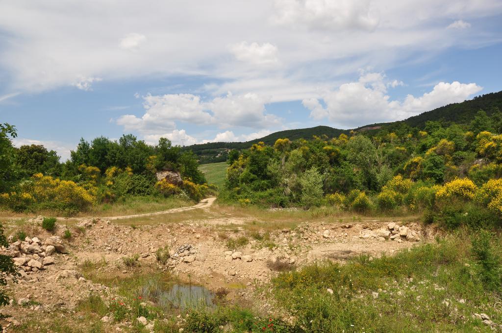 Agriturismo Eco-Bio Belmonte Vacanze Монтайоне Екстериор снимка