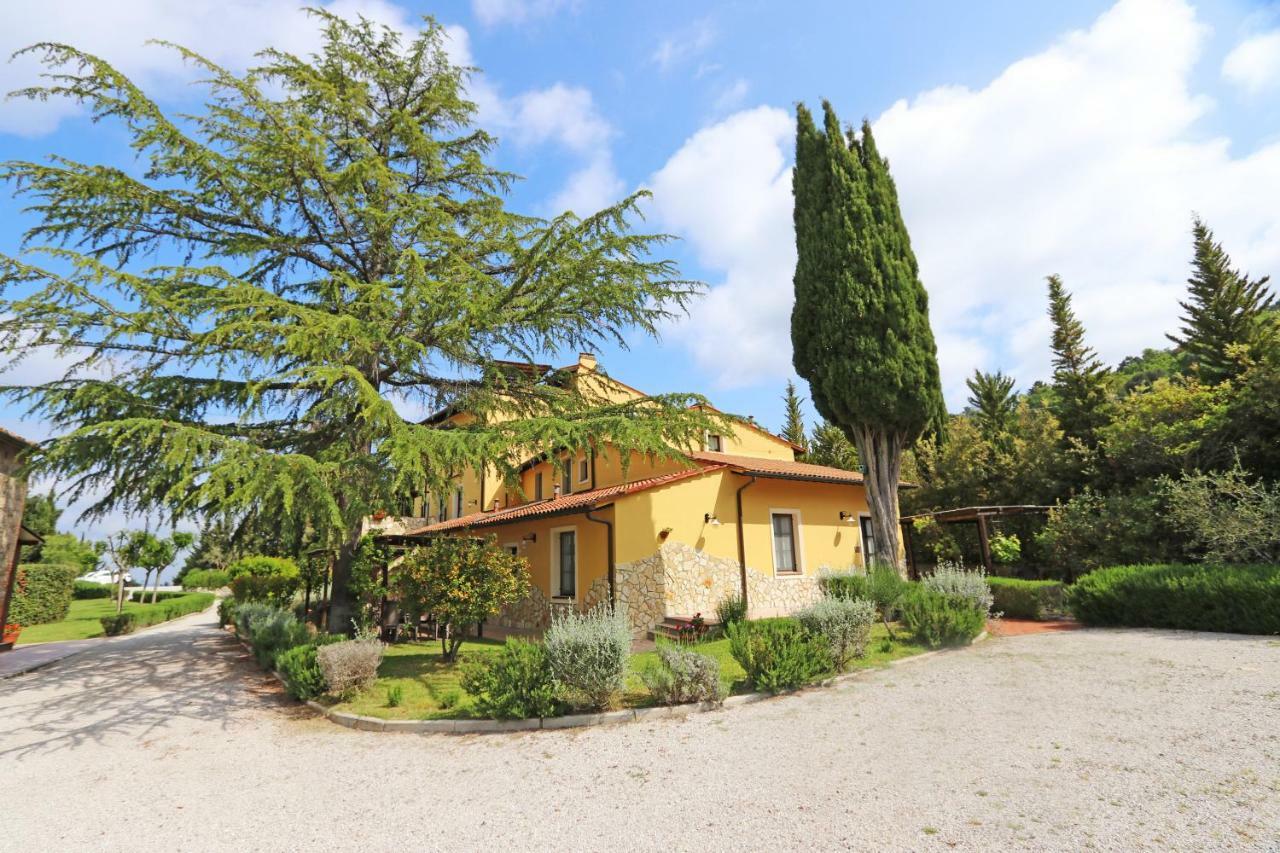 Agriturismo Eco-Bio Belmonte Vacanze Монтайоне Екстериор снимка
